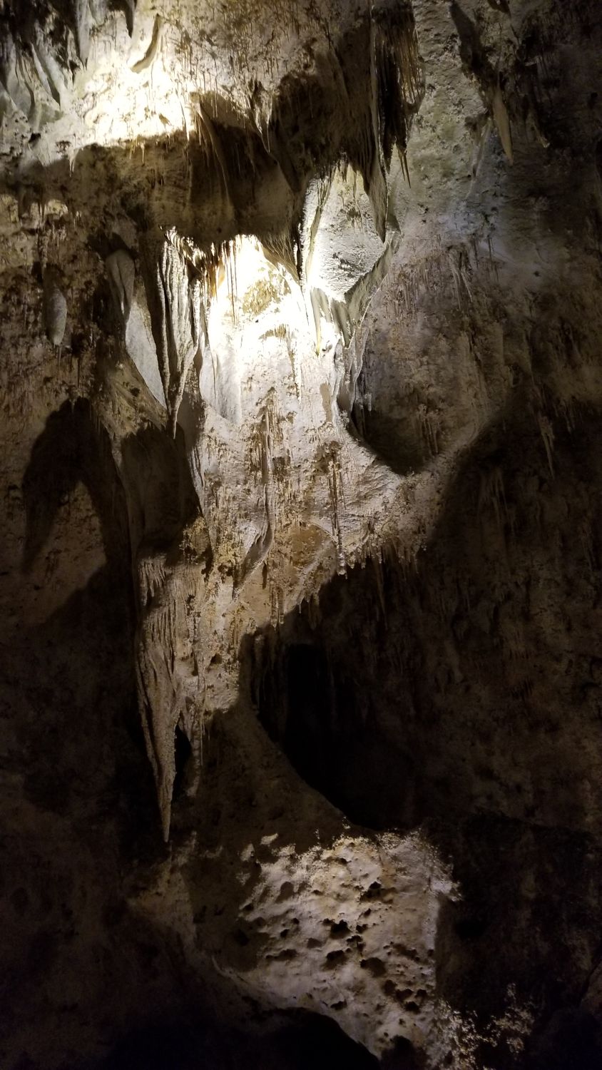 Carlsbad Caverns 